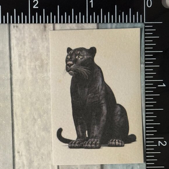 ๐10/$10๐ Classic Vicious Cats Lion Tiger Cheetah Reusable Washi Sticker Decal - Picture 1 of 1